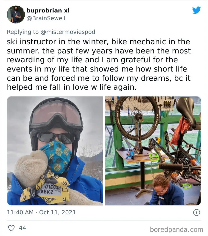 People Who Actually Like Their Jobs Are Sharing What They Do (35 Tweets)