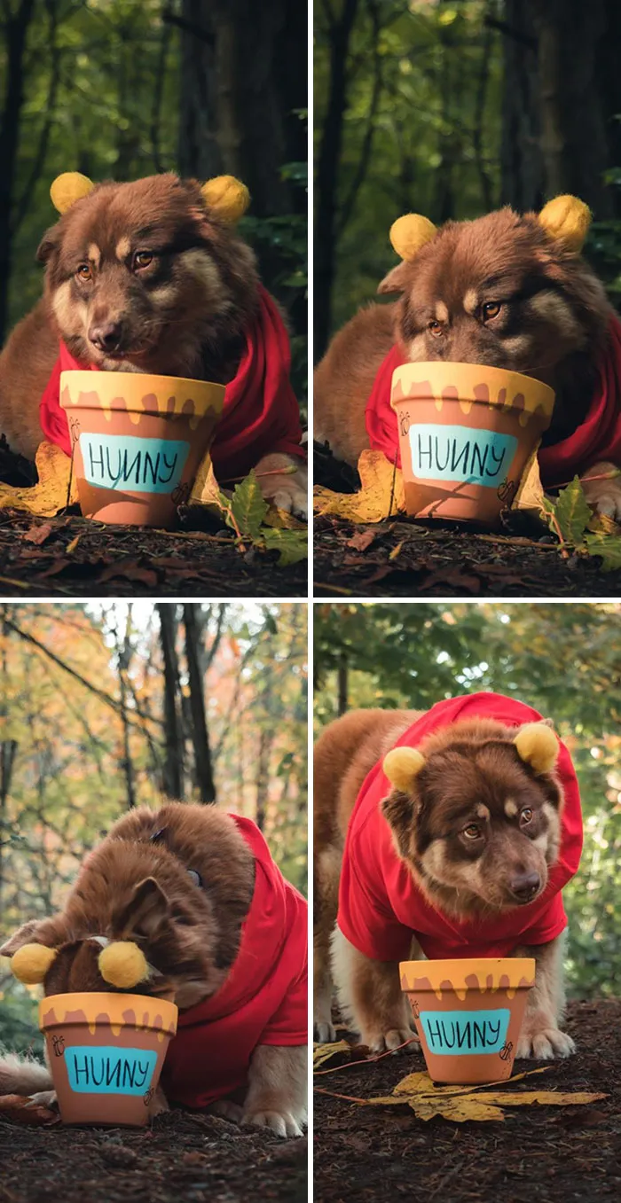 Oh Brother, I've Seem To Have Run Out Of Honey