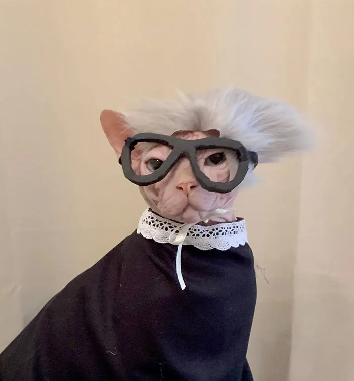 RBG