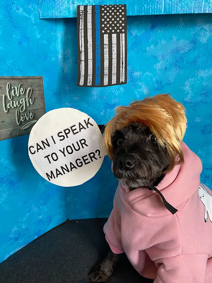My Dog’s Karen Costume