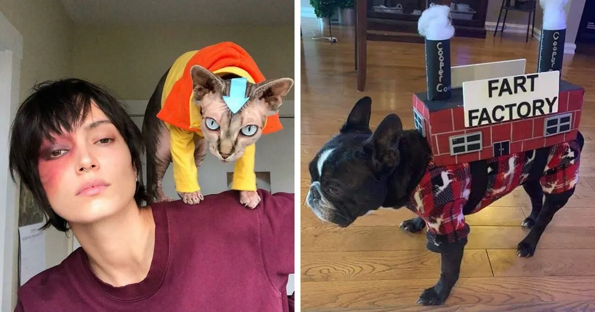 40 Mascotas que arrasaron con sus disfraces de Halloween