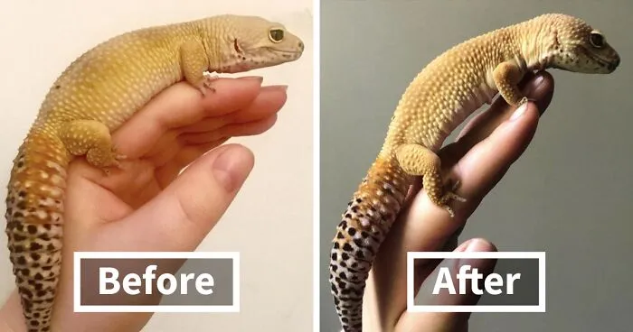 30 Former Chonks That Lost The Weight And Look Great Now