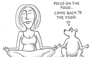 This Artist Makes Comics About Silly Situations (70 Pics)