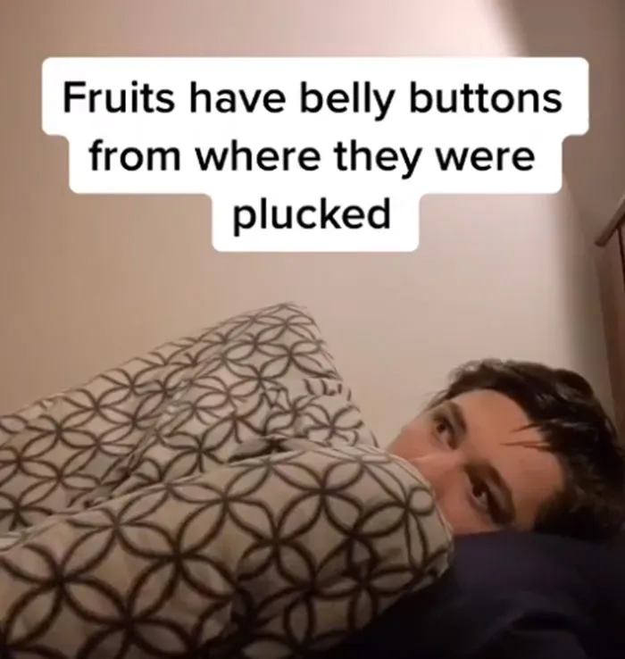 Guy Posted A Deep Shower Thought Every Day For A Year, Here Are 30 Of The Best