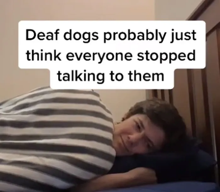 Guy Posted A Deep Shower Thought Every Day For A Year, Here Are 30 Of The Best