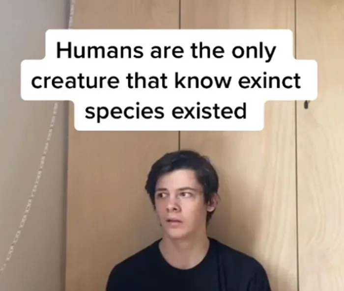 Guy Posted A Deep Shower Thought Every Day For A Year, Here Are 30 Of The Best