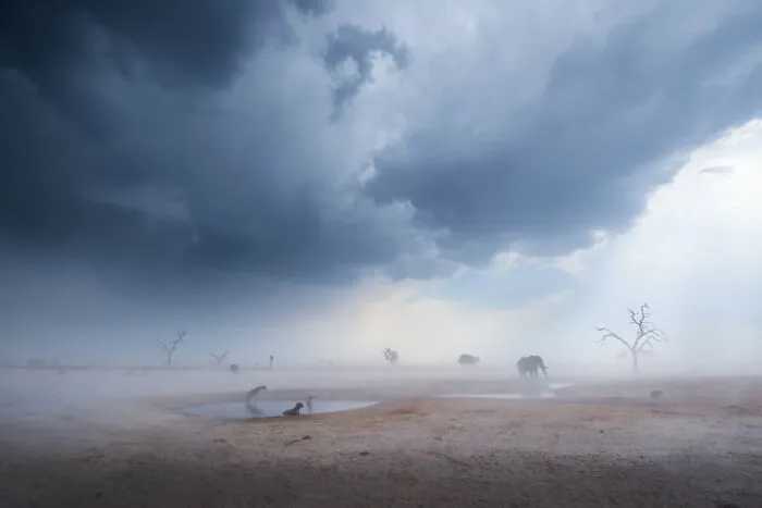 Sandstorm, The Beauty Of Nature: 2nd Classified