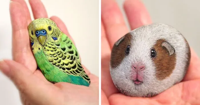 Japanese Artist Turns Blunt Stones Into Adorable Animals (70 New Pics)