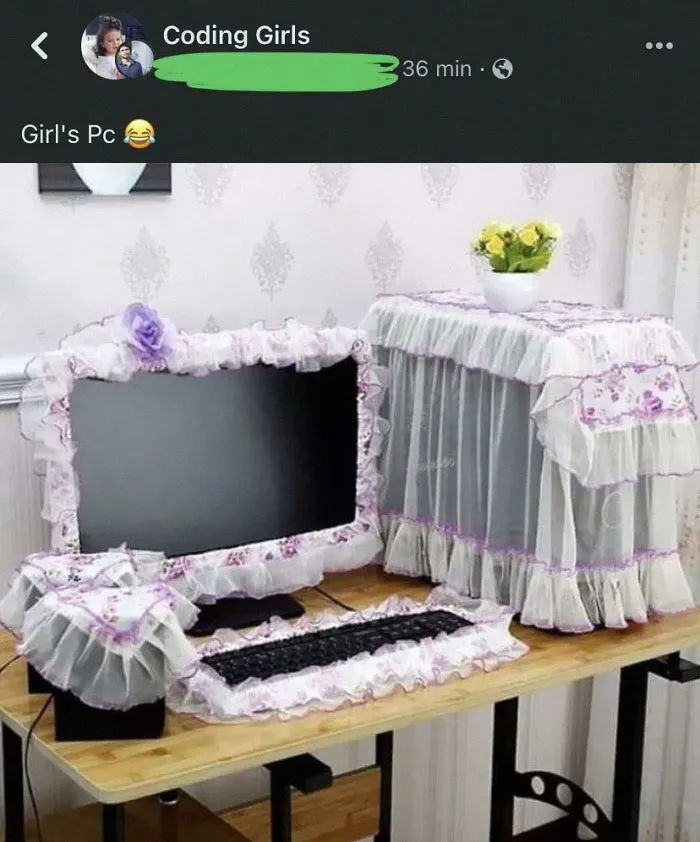 Because All Girls Decorate Their Pcs Like This