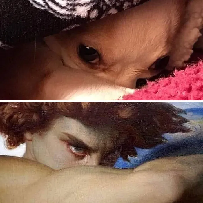 This Page Collects Photos Of 'Animals With Threatening Auras' (40 New Pics)