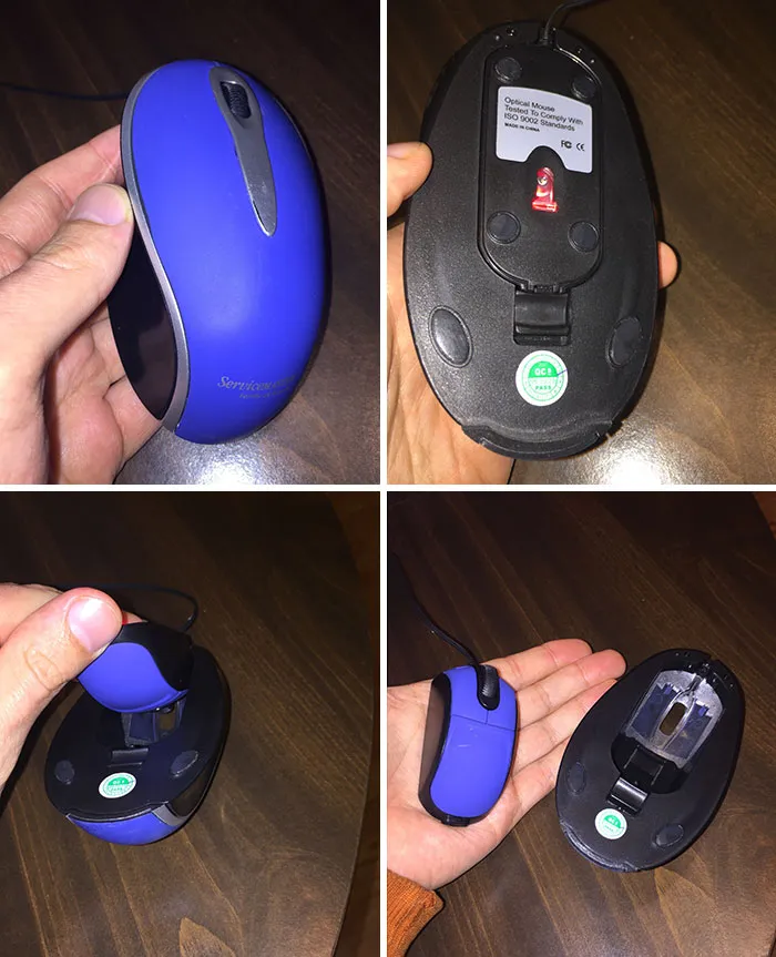 This Mouse Gave Birth