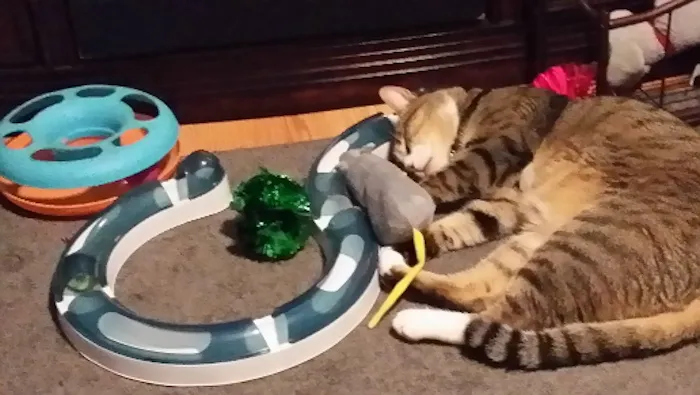 Played So Hard!
