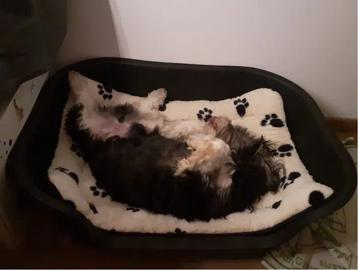 To Early, Nope Not Getting Up Zzzzzzzzzzzzz
