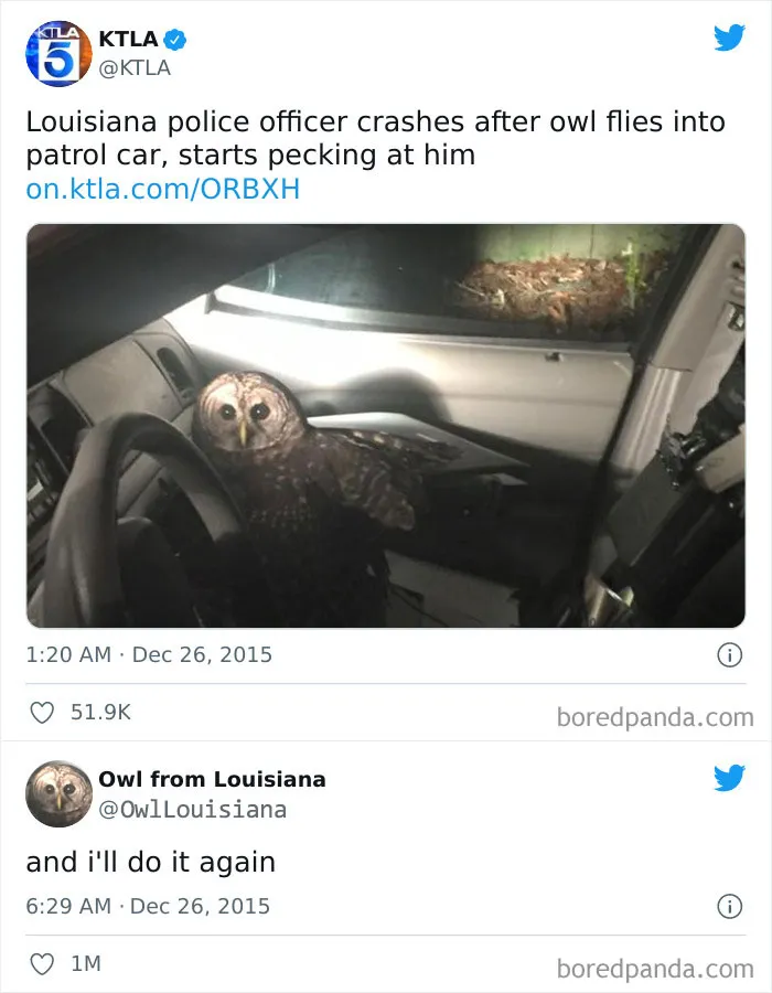 50 Times The Universe Decided To Troll One Person Specifically And It Resulted In These Funny Pics