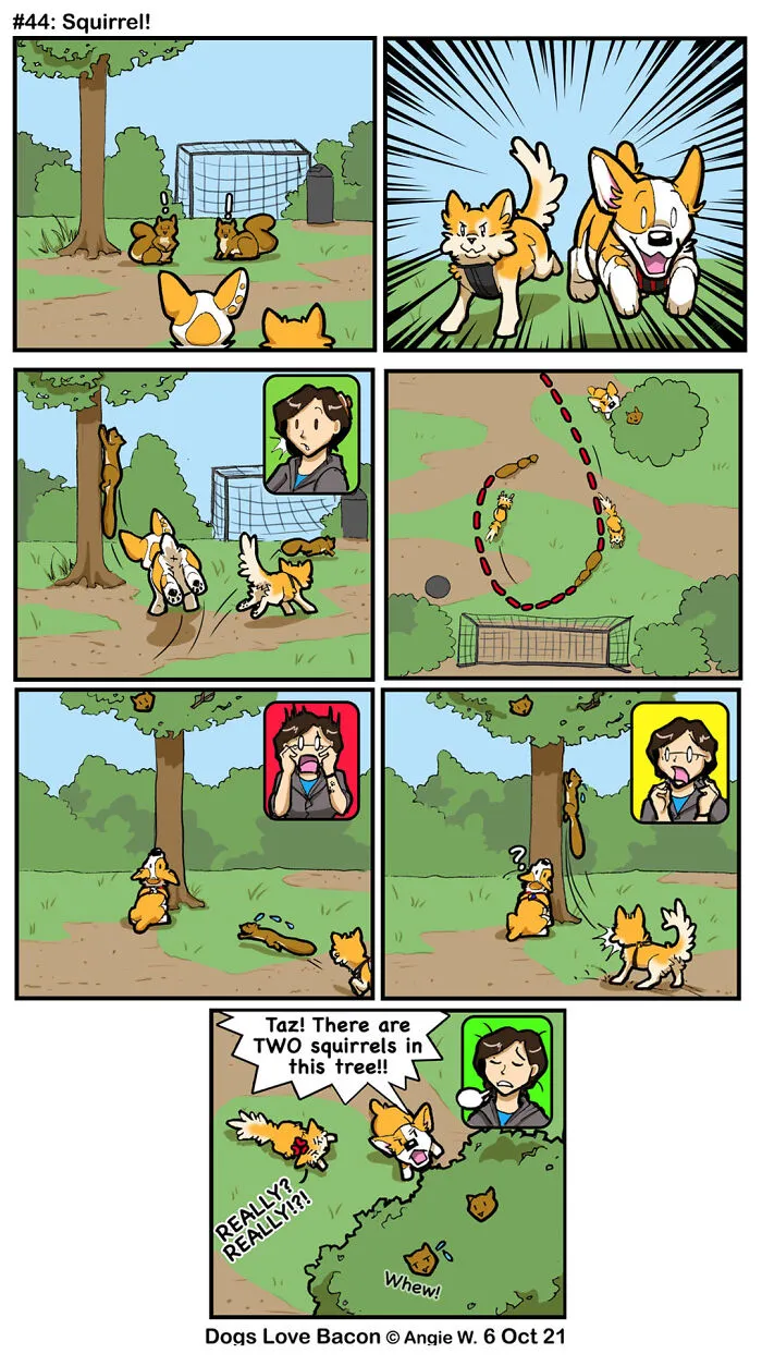Adventures Of Living With Two Rescue Dogs: 26 Comics I’ve Made