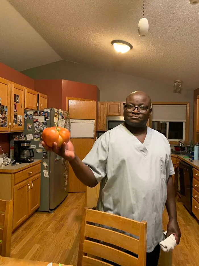 My Dad Was Extremely Proud Of His Monster Tomatoes This Season