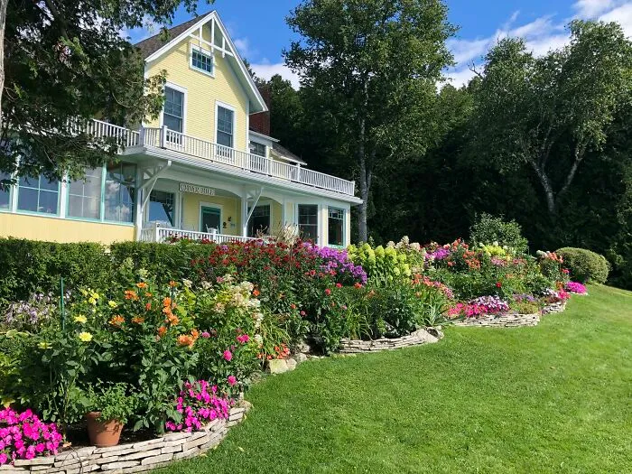 My Dad’s (74yo) Garden Is Looking Particularly Lovely This Morning. He Does All The Planning And Gardening Himself