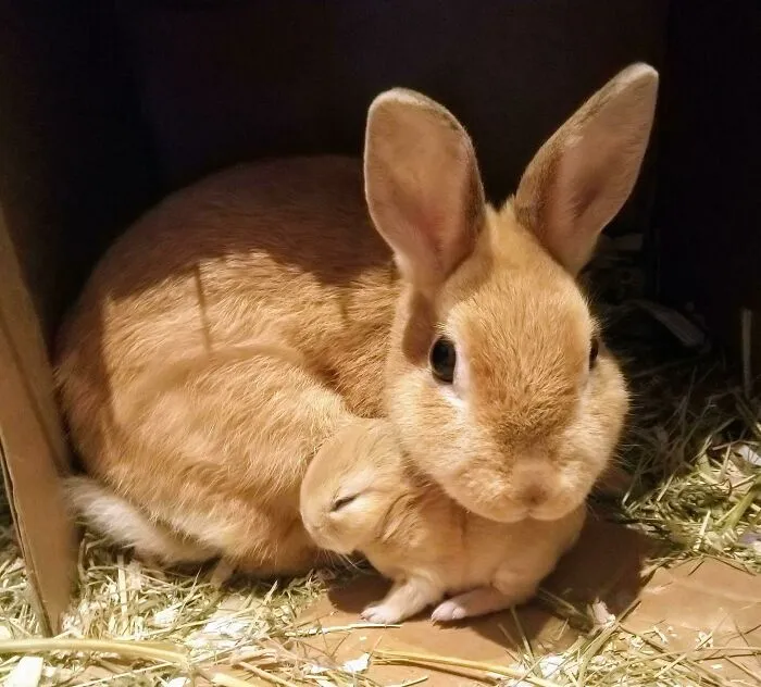 Madre e hijo