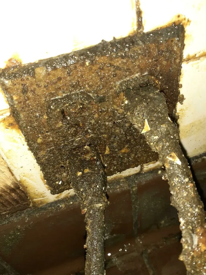 Mi compañero de trabajo y yo tratábamos de decidir cuál de los dos iba a volver a enchufar esto después de que se desenchufara