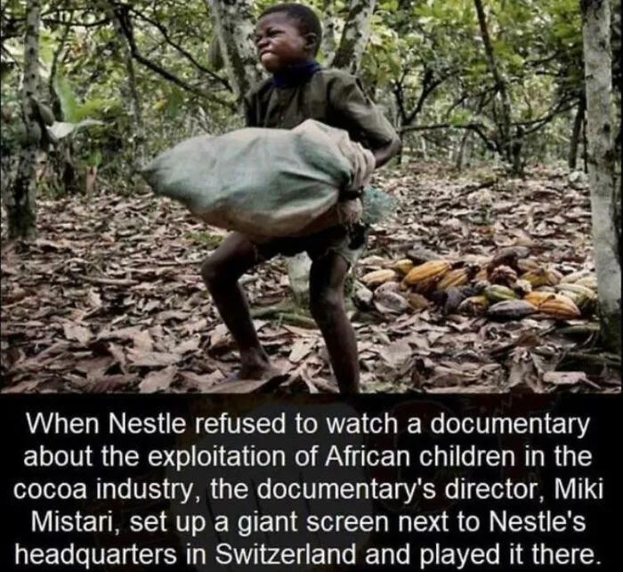 Chaotic Good Director