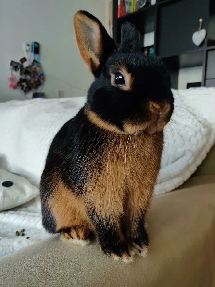 Meet Max