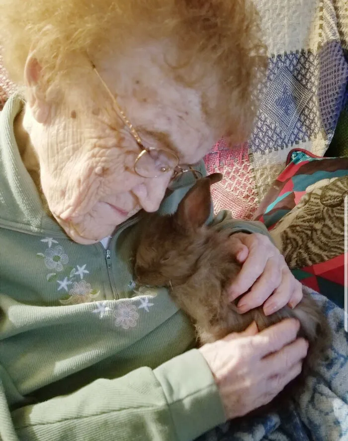 I Brought One Of My Baby Bunnies To Meet My Great Grandmother