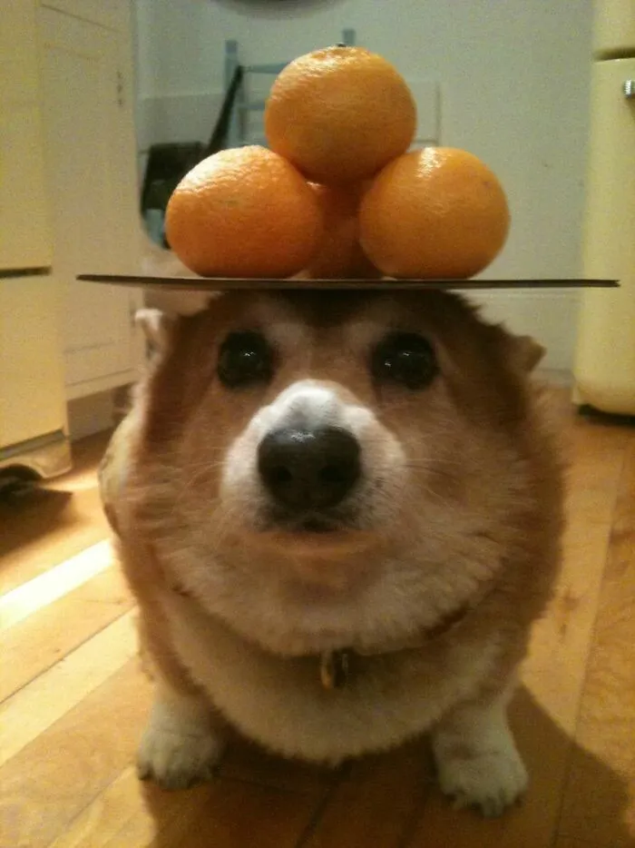 Hello, I Am Table