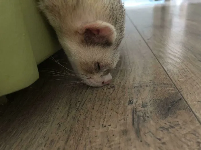 Chuck Fell Asleep