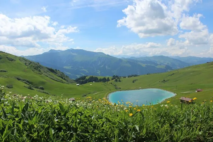 Tras 2 días de excursión con paisajes preciosos, vimos esto en Lenk, Suiza