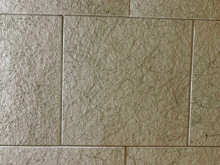 Who Wouldn’t Want A Ceiling That Looks Like It’s Covered With Hair?