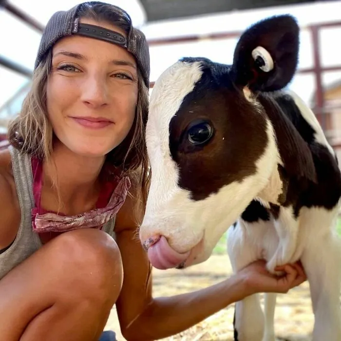 Woman smiling with an adorable cow in a farm setting, capturing a playful moment.