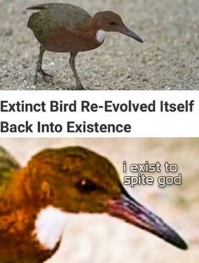 Blasphemy Dove, The Deathless.