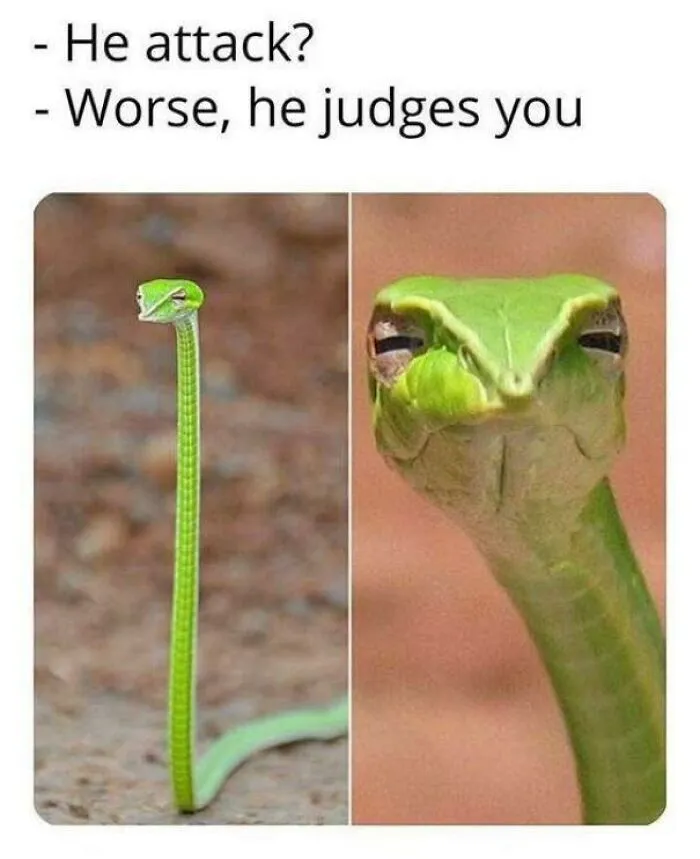 Judger , The Manipulator Of Guilt