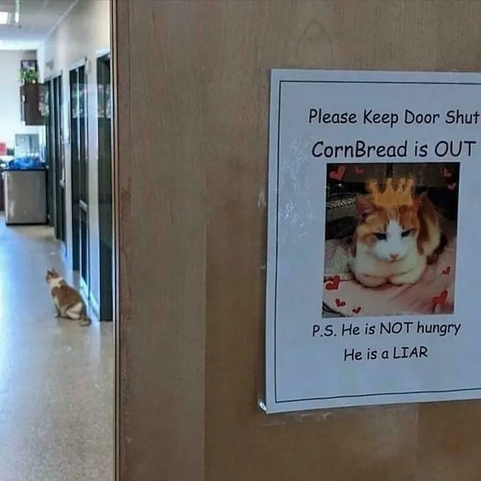 Cornbread, The Lying