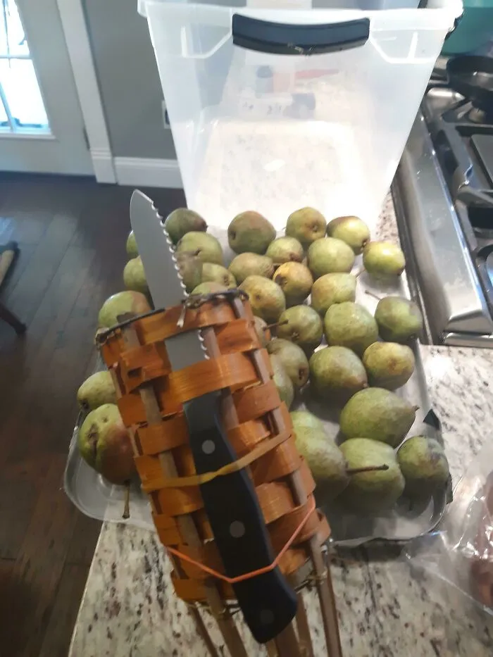 My Dumbass Solution To The Problem Of High-Hanging Fruit