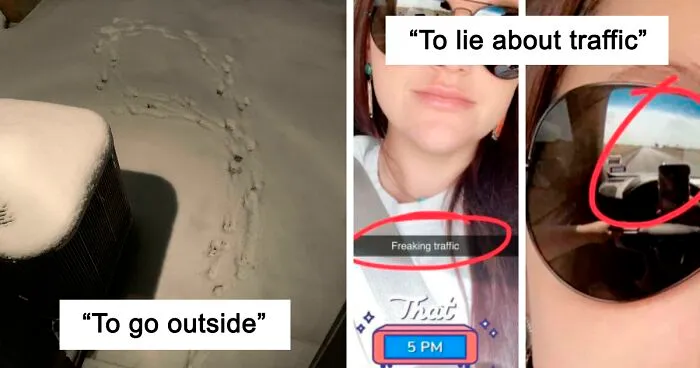 "There Was An Attempt": People Share The Worst Fails They've Seen (50 New Pics)