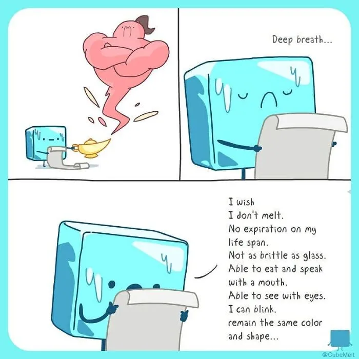 30 Comics About The Daily Struggles Of An Ice Cube By This Artist