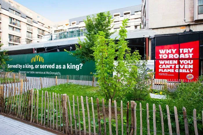 Mcdonald’s vs. Burger King