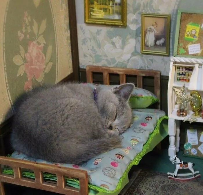 Awww