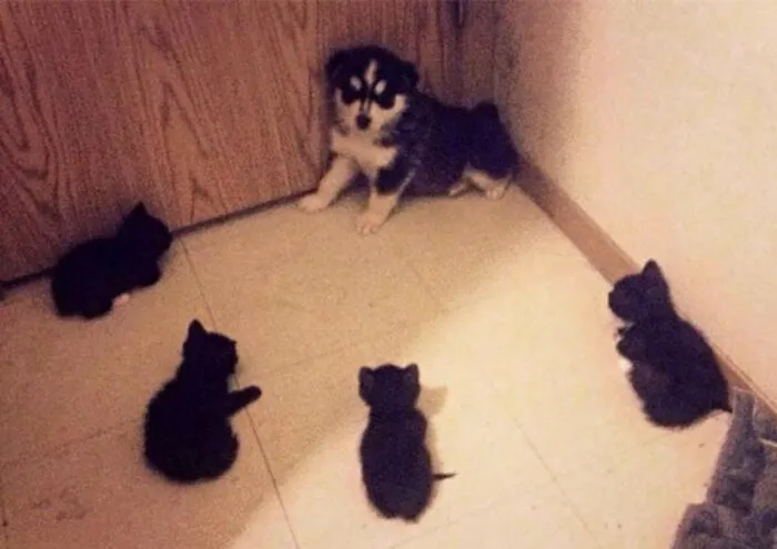 Tiny Units Surrounding Another Tiny Unit