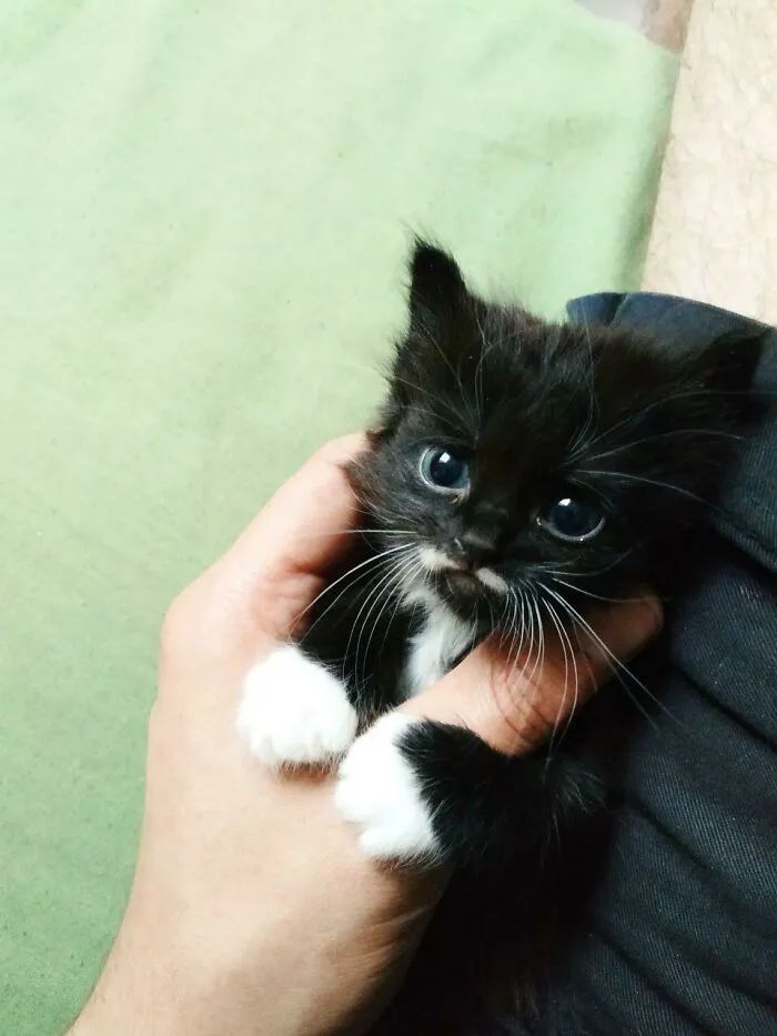 Lil Mustache!