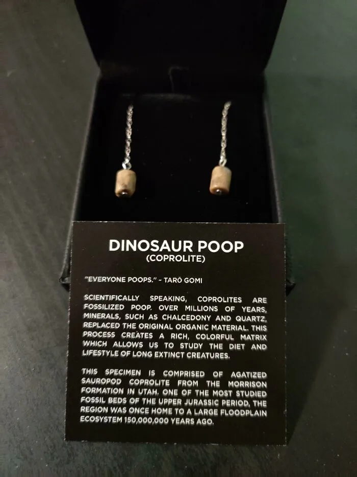 I Told My Husband I Just Wanted Some "Crappy Earrings" For Christmas. He Delivered