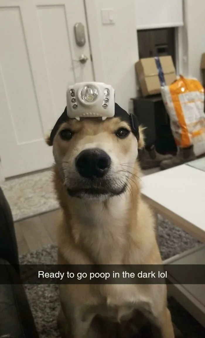 What My Husband Sends Me While I'm At Work