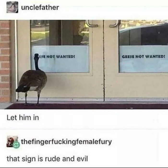 50 Times The Universe Decided To Troll One Person Specifically And It Resulted In These Funny Pics