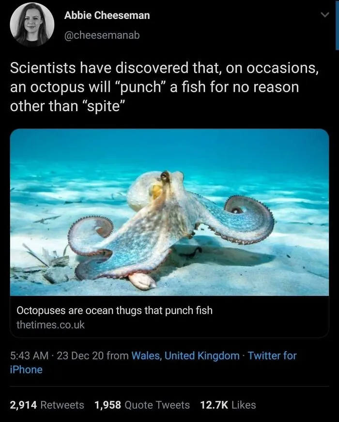 50 Times The Universe Decided To Troll One Person Specifically And It Resulted In These Funny Pics