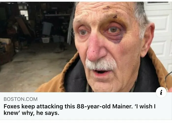 50 Times The Universe Decided To Troll One Person Specifically And It Resulted In These Funny Pics
