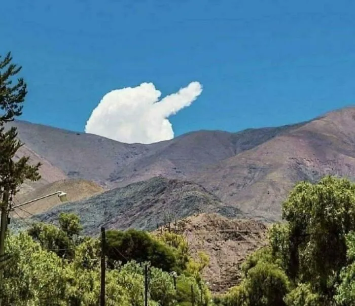 25 Personas concretas que fueron troleadas por el universo, y el resultado son estas divertidas fotos