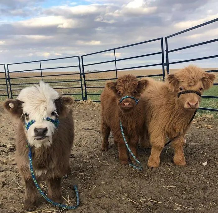 A Friend Of Mine Sent Me This Picture, And I Thought It Deserves To Be Posted
