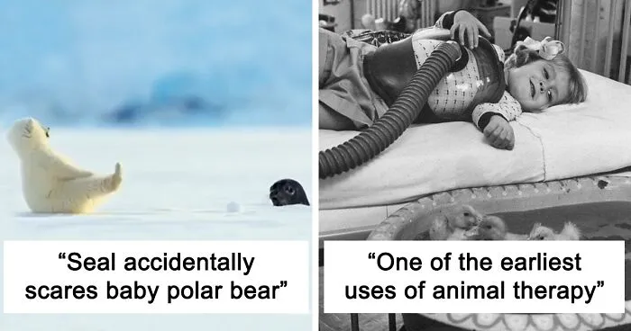 "Tiny Units" Online Group Is Dedicated To Everything That Comes In Cute Sizes (50 Pics)