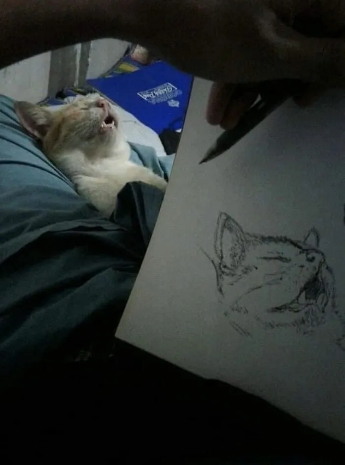 Drawing